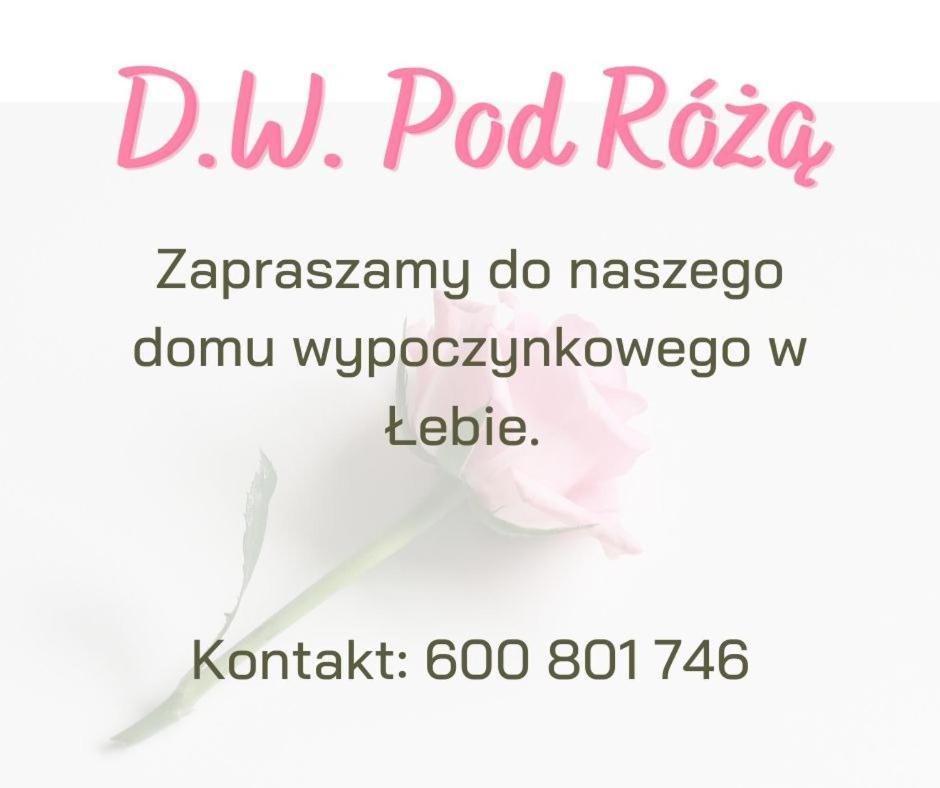 Pod Roza Bed and Breakfast Łeba Exteriör bild